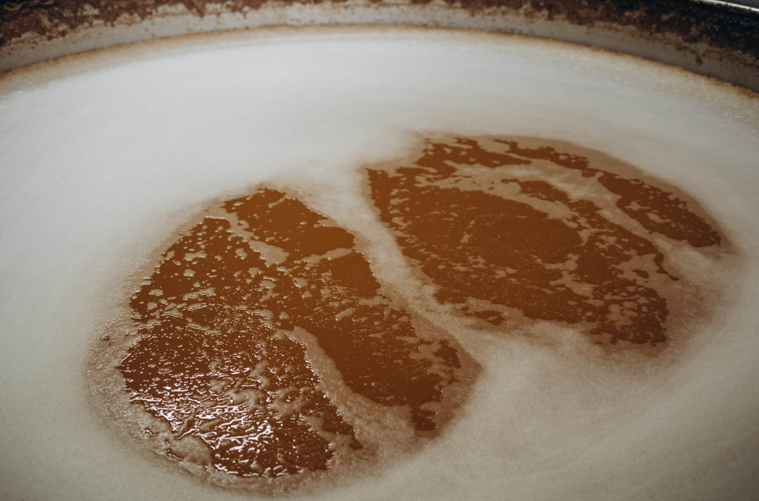 Process of fermentation and filtration of beer inside the vat