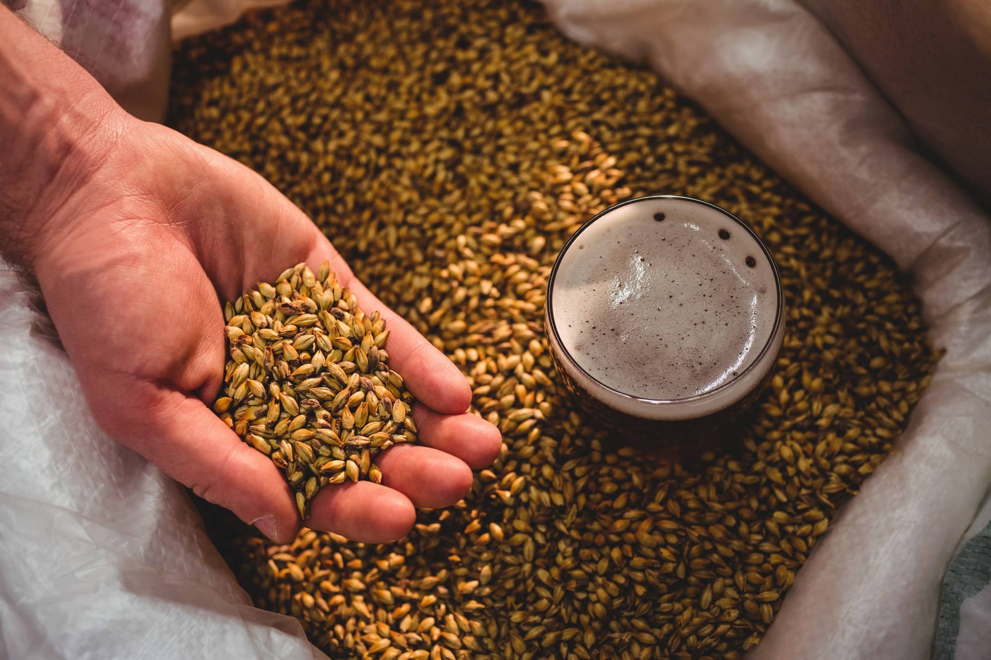 manufacturer-showing-barley-in-sack-at-brewery
